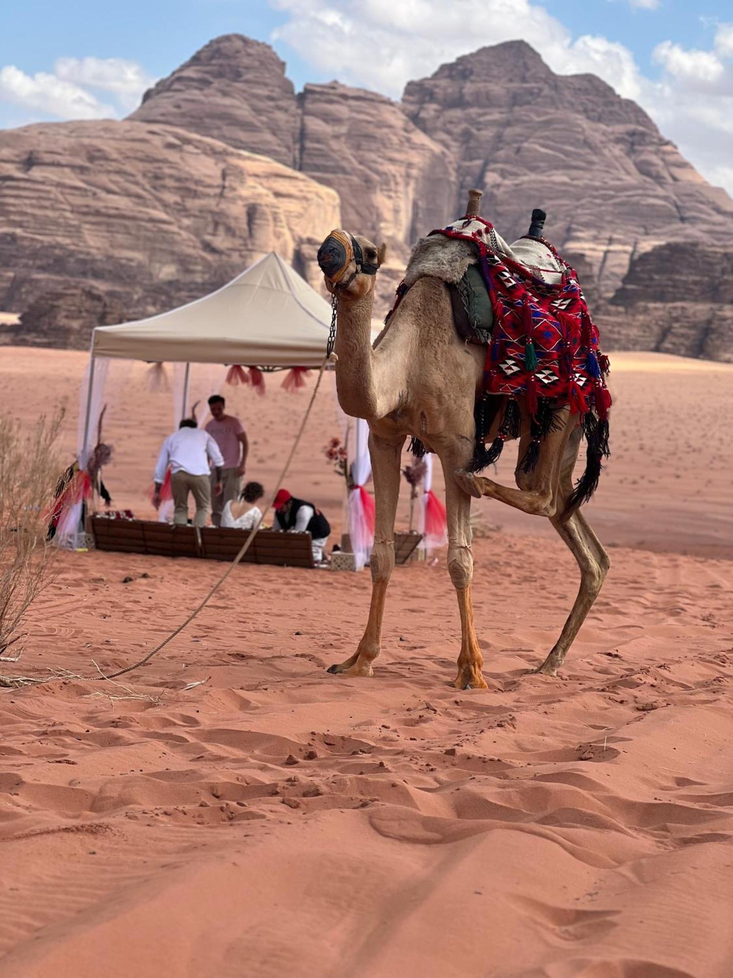 Revan Rum Luxury Camp Wadi Rum Zewnętrze zdjęcie