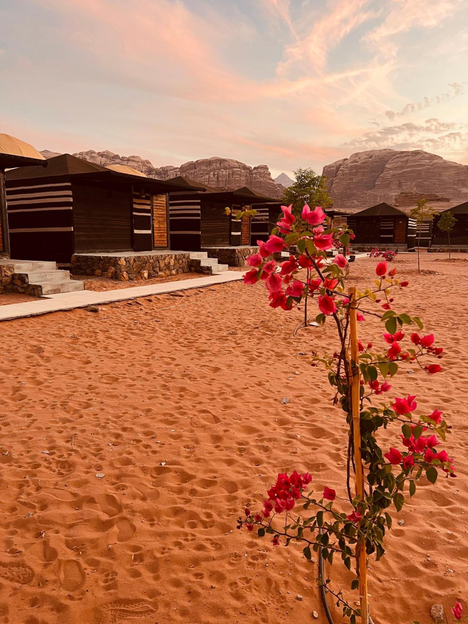 Revan Rum Luxury Camp Wadi Rum Zewnętrze zdjęcie