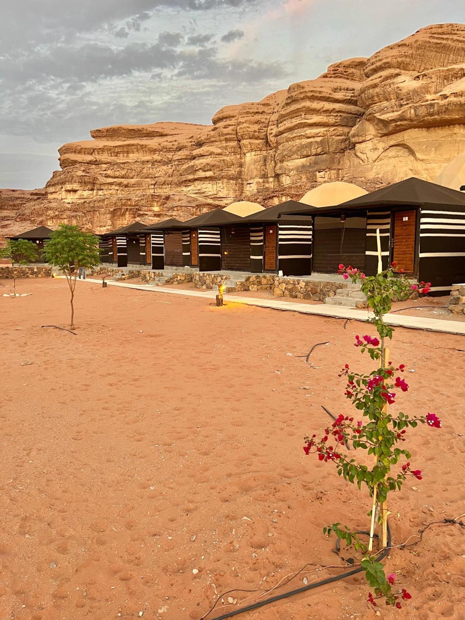Revan Rum Luxury Camp Wadi Rum Zewnętrze zdjęcie