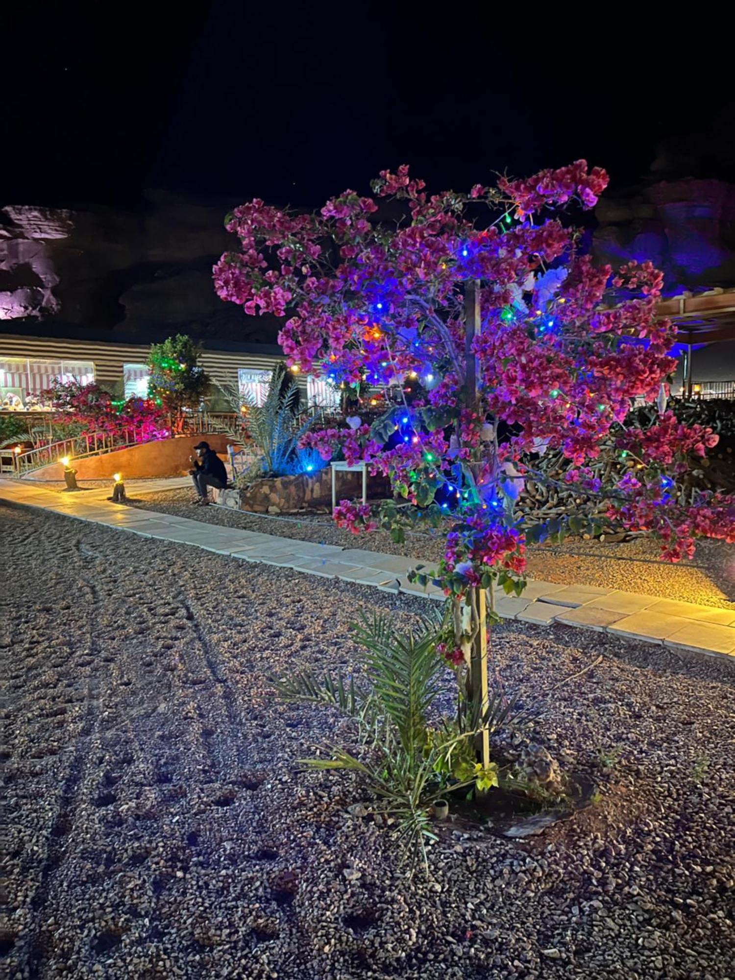 Revan Rum Luxury Camp Wadi Rum Zewnętrze zdjęcie